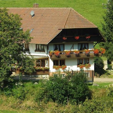Schusselehof Apartment Oberprechtal Екстериор снимка