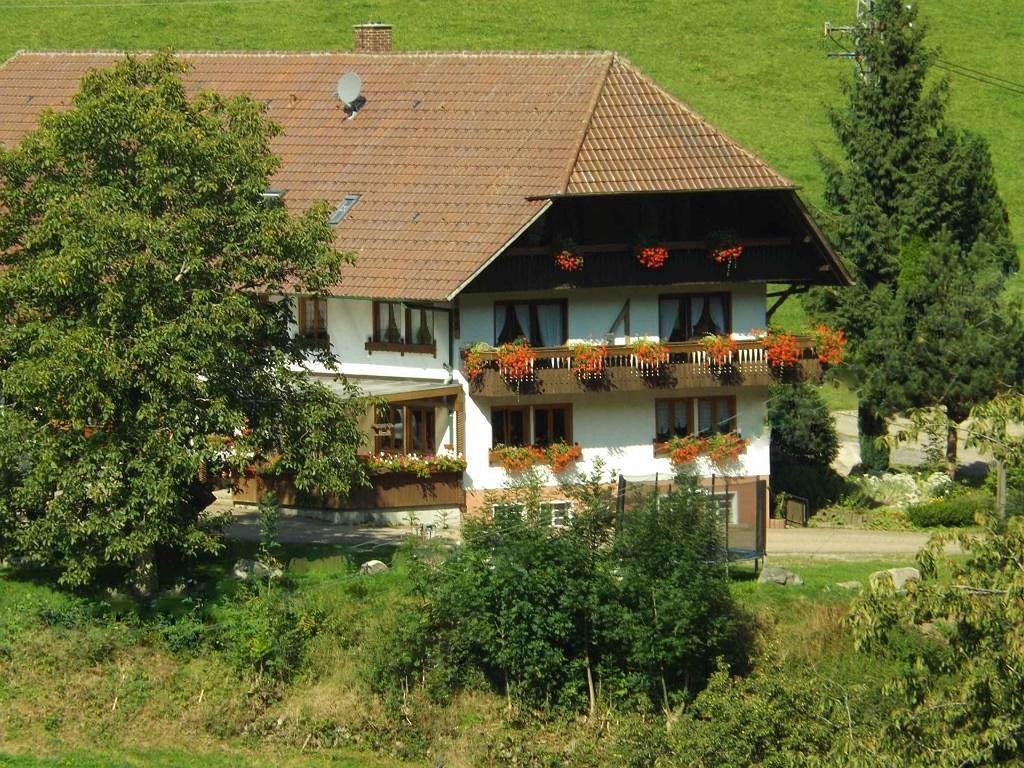 Schusselehof Apartment Oberprechtal Екстериор снимка